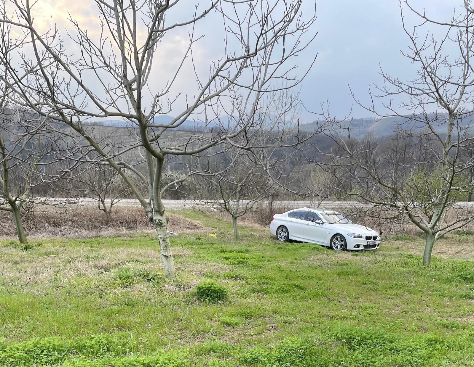 D-595 Karayolu Cepheli 6.006 m² Tarım & Yatırım Arazisi – Acil Satılık!